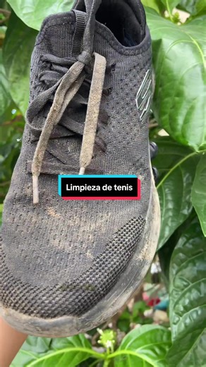 Limpieza profunda de tenis: Resultados sorprendentes