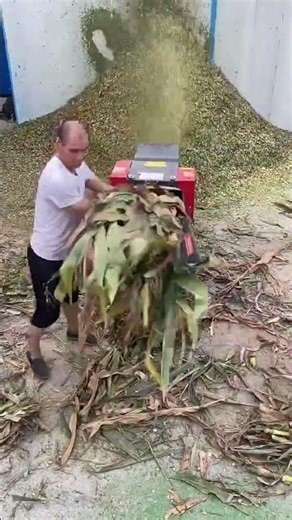 Simple Machine Turning Leaves into Mulch 🍃
