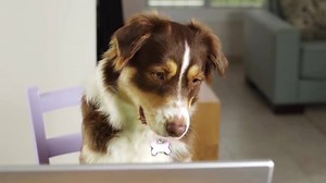 13K views · 42 reactions | CCTV Direct on Reels | Facebook