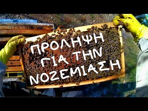 ΠΡΟΛΗΠΤΙΚΟ ΡΑΝΤΙΣΜΑ ΓΙΑ ΤΗΝ ΝΟΖΕΜΙΑΣΗ
