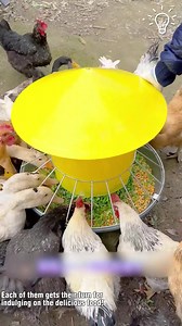 101K views · 451 reactions | Feeding time for the flock! ✨ | Trendy Magazine | Facebook