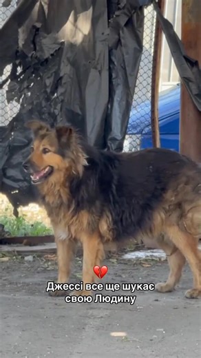 38 reactions · 28 comments | On August 28, Jessie lost her Human...