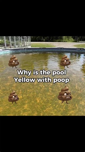 #brev @brev | fanta lite brev