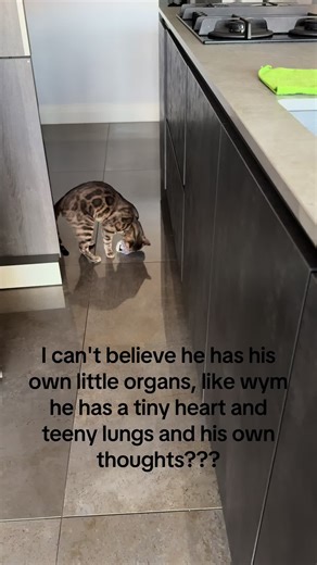 Understanding Your Pet Bird's Unique Anatomy