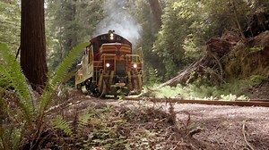 All aboard! We're excited to announce that train service will resume from Fort Bragg on the Pudding Creek Express beginning Saturday, June 20th, and from Willits on the Wolf Tree Turn beginning Friday, June 26th! We have new sanitization protocols in place at the Depot, on the Trains, and on the Railbikes to ensure the safety of our staff and our guests, and you are required to wear a mask and adhere to social distancing requirements during your time with us. We can't wait to welcome you again, 