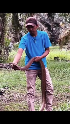 𝐌𝐚𝐧𝐧𝐮 𝟕𝟕𝟕 on Instagram: "1990년 개봉한 영화 〈나홀로 집에(Home Alone)〉는 단순한 가족 코미디를 넘어, 혼자 남겨진 한 아이의 용기와 따뜻함을 담아낸 작품입니다. 크리스마스의 화려한 장식과 밝은 음악 뒤에는, 케빈이 느끼는 외로움과 성장의 순간들이 자연스럽게 스며 있습니다. 처음엔 집에 혼자 남았다는 사실이 마치 해방된 듯 신나 보이지만, 시간이 지날수록 조용한 집 안 곳곳에서 케빈이 맞닥뜨리는 고요한 감정들이 더 깊이 다가옵니다. 빈 식탁, 적막한 밤, 멀리서만 들리는 캐럴 소리… 이런 순간들이 영화의 분위기를 더욱 따뜻하면서도 쓸쓸하게 만들죠. 하지만 이 영화가 오래 기억되는 이유는, 결국 케빈이 혼자서도 두려움을 이겨내고 집을 지켜내는 모습 때문입니다. 장난기 가득한 함정들과 소동 속에서도, 어린 아이의 순수한 용기와 가족을 향한 그리움이 자연스럽게 묻어납니다. 많은 사람들이 “왜 매년 겨울만 되면 이 영화를 다시 보게 될까?”라고