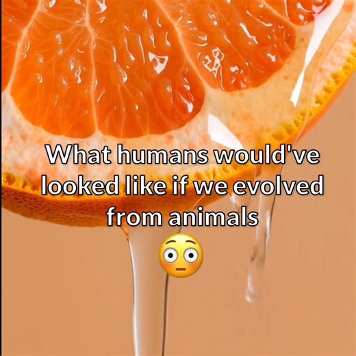 what would humans look like if they evolved from animals...#trending #explore #bts #yoongi #edit #cc
