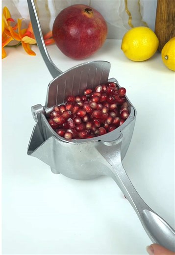 Pomegranate Squeezer: A Complete Guide to Use
