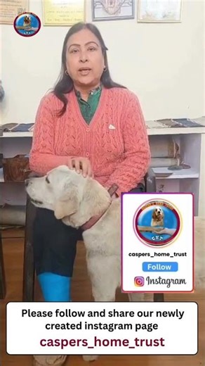 We’re Back! Please Follow & Support Casper’s Home 🐾