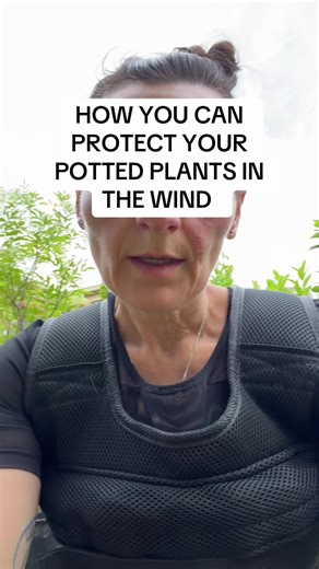Protecting Potted Plants from Extreme Wind