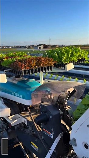 Automated Vegetable Planting
