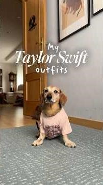 trying on my Taylor Swift outfits 💗👀 #taylorswift #swiftie #merch #clothes #dog #outfits