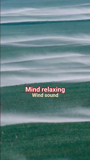 Peaceful Wind Sounds for Sleep 🌬️ | Relax & Breathe