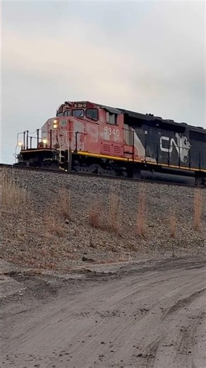 CN SD40-2W with an IANR GP38 on a pull down.