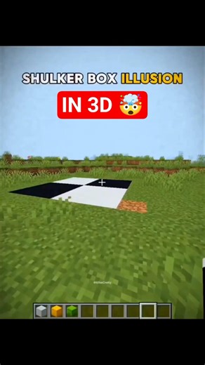 SHULKER BOX ILLUSION 🤯 #minecraft #shorts