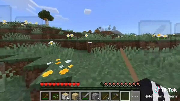 Feather (@featherheatherrr) - Minecraft Gameplay with Jenny: A Fun Adventure!