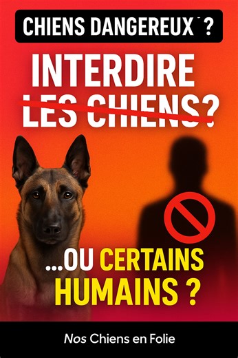 Et si le vrai danger, ce n’était pas la race… mais certains humains ? 🐶🔥 On entend partout qu’il faudrait interdire les Malinois, les Staff ou les “chiens dangereux”. Mais bizarrement, on ne se demande jamais si ce ne seraient pas plutôt certains particuliers qu’il faudrait interdire aux chiens. On prend des chiens “Ferrari”, faits pour bosser, réfléchir, bouger, et on leur offre une vie de plante verte : peu de sorties, zéro réflexion, pas d’éducation… Et le jour où ça dérape, on accuse “la r