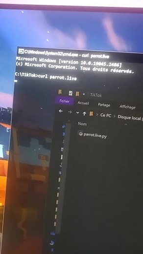 comment marche la commande curl parrot.live #programming #curl #http #dev #code