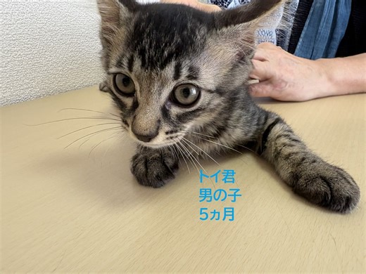 日本動物愛護協会 jspca on Reels