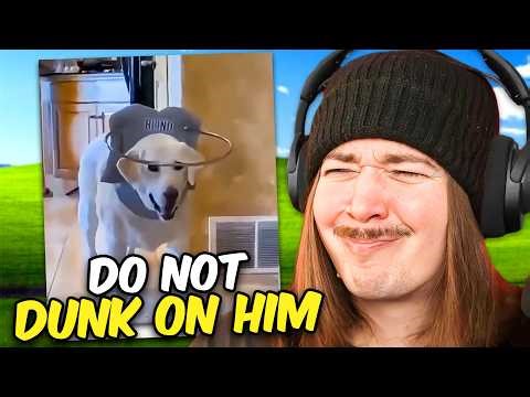 If I Laugh, The Video Ends 308