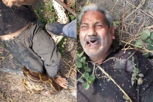 Rajasthan: अचानक अजगर ने युवक पर किया हमला और जकड़ लिए पैर, देखें वीडियो