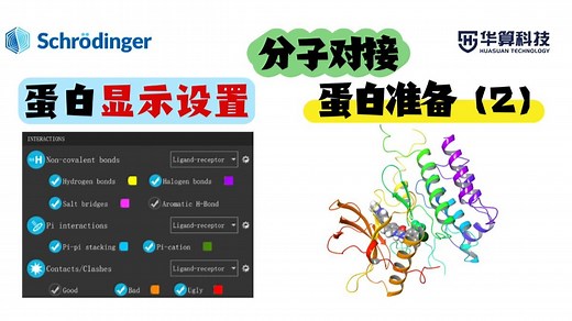 【分子对接实战】Schrödinger 蛋白预处理精讲（2）：蛋白-小分子作用模式可视化设置！| 华算科技