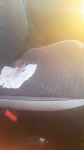 Pet Robin in Doneraile park today, haven't seen him for 13 days because of the snow storm we had last week. He survived it all. | Make time for nature