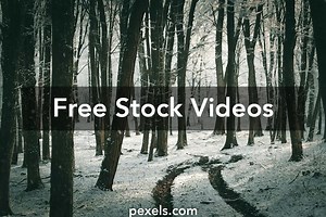 Cool Backround Videos, Download The BEST Free 4k Stock Video Footage & Cool Backround HD Video Clips