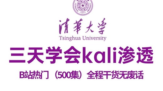 【Kali渗透教程】kali教程零基础入门到精通，全500集（完整版）从零开始学网络安全入门到入狱！学完即可就业！网络安全2026最新零基础入门教程！