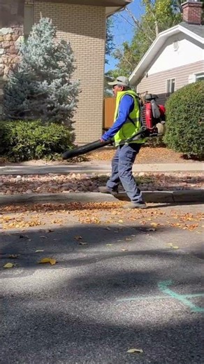 Fall Cleanup in Progress 🍂