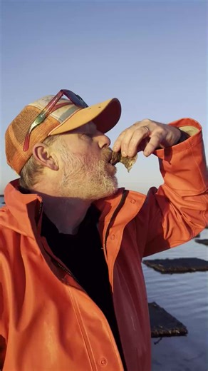 7.7K views · 112 reactions | What's it like to be a Cape Cod oyster farmer? We spent a morning with some of them in the waters off Provincetown to find out. ️Desiree Nikfardjam / Cape Cod Times | Cape Cod Times | Facebook