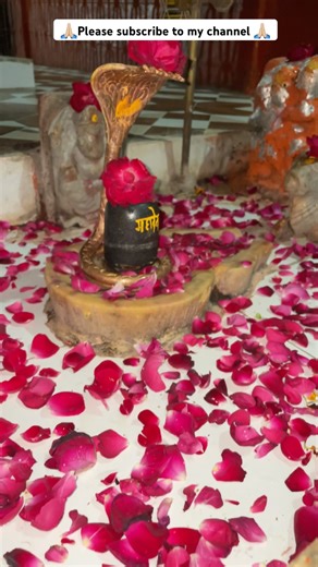 #shortvideo #shorts from Shree bilwashvar mhadev 💕🕉️