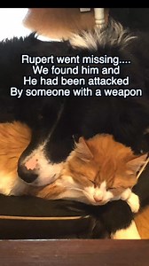 328K views · 18K reactions | It’s that time again. Here’s Casp’s story  Music here - https://business.facebook.com/sound/collection/?sound_collection_tab=sound_tracks&asset_id=1683462785440248&reference=direct_link | TeamCasp47 | Facebook