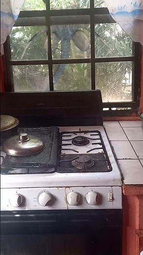 Real face hugger creature in Barbados caught on camera?? #short