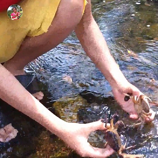 32K views · 648 reactions | In Forest, catching many river crabs and Cooking with water melon Part 5 | Survival skills Anywhere | Facebook