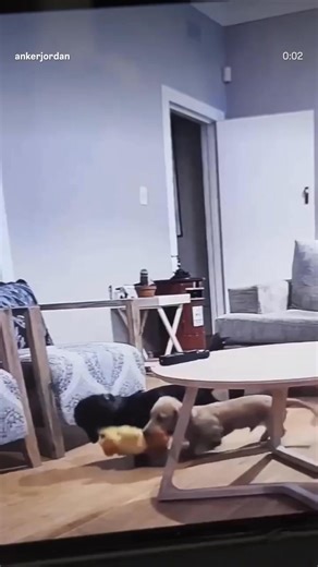 2K wired indoor camera 360°PAN AND TILT With 2K CLARITY | JOE STORE