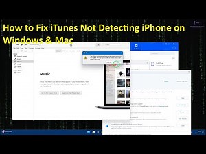 iPhone Not Showing Up in iTunes? 📱 Quick Fix 2025