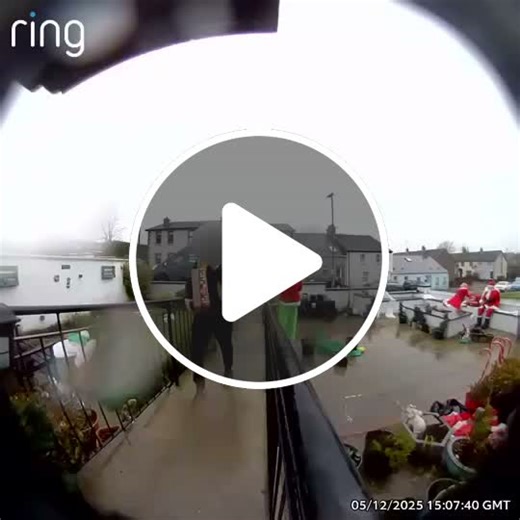 Festive Delivery Fail as Driver's Van Rolls Away - NewsBreak