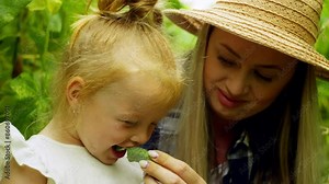 Mother gives her daughter a freshly picked cucumber to try. The girl happily bites it and starts chewing. High quality 4k footage