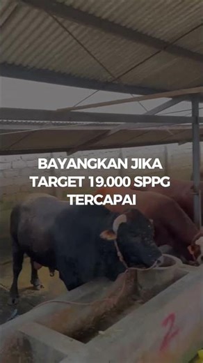 Siswi SMP bongkar fakta pahit program Makan Bergizi Gratis #shorts #makanbergizigratis #programmbg