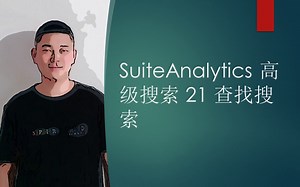 NETSUITE SUITEANALYTICS 高级搜索 21 查找搜索