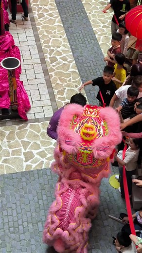 Exciting Lion Dance Performance for CNY 2026
