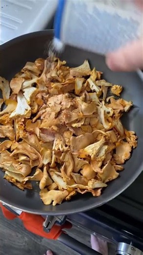 How to clean and preserve your Chanterelles! #foraging