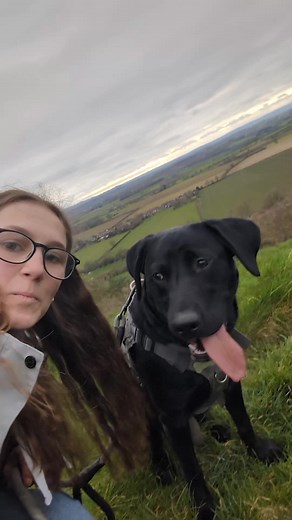 Anyone else remember the heartbreaking film? 😥❤️ #adogspurpose #doglover #dogsofttiktok #souldog #lovemydog