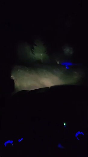 Yamaha RMAX Vs. Blacktail