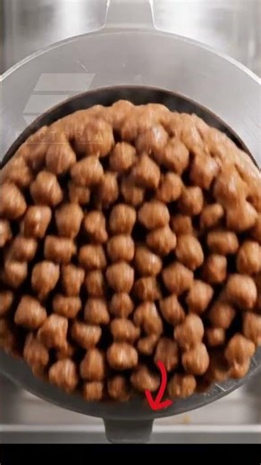 Your Dog Eats This… But How Is It Made?