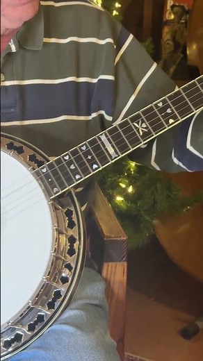 2005 Stelling Sunflower Banjo Sound Demo | Near-Mint Condition