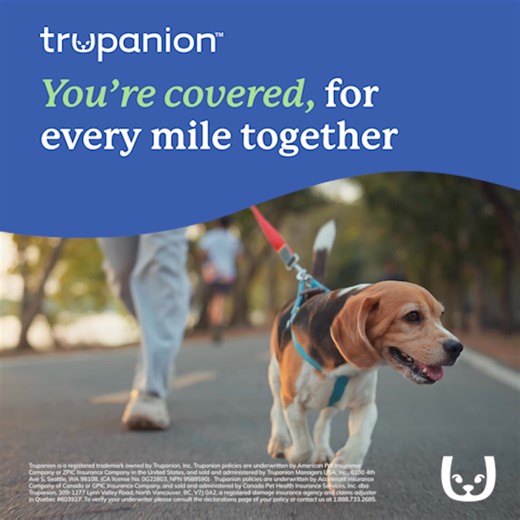 Wherever the year takes you, we’re here for you. See how your coverage works when your pet needs care. | Trupanion