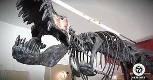 Journey through space and time at Cranbrook Institute of Science