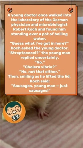 Daily Funny Anecdote #joke #funnystory #funny #anecdote